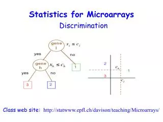 Statistics for Microarrays