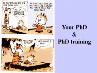 Your PhD &amp; PhD training