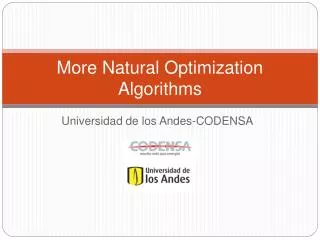 More Natural Optimization Algorithms