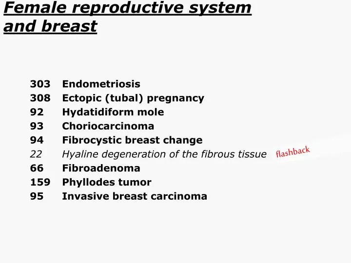 female reproductive system and breast