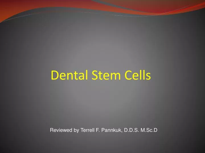 dental stem cells