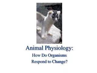 Animal Physiology: