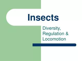 Insects