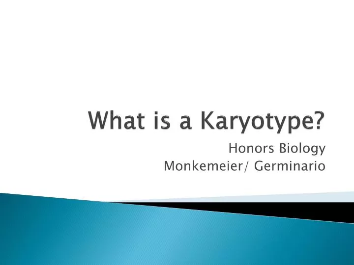 what is a karyotype