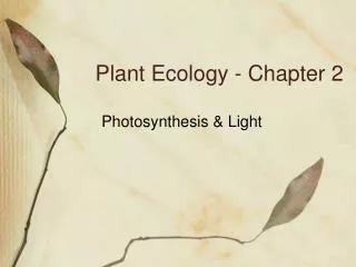 Plant Ecology - Chapter 2