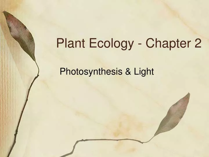 plant ecology chapter 2