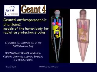 Geant4 anthropomorphic phantoms: models of the human body for radiation protection studies