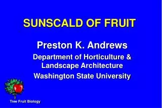 SUNSCALD OF FRUIT