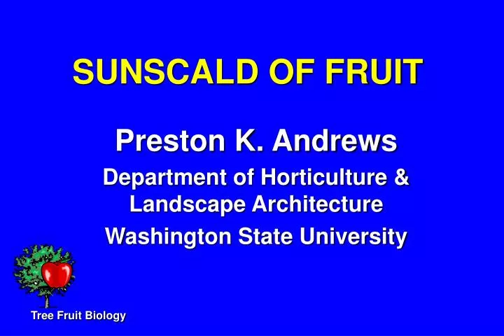 sunscald of fruit