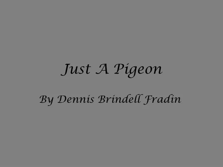 just a pigeon