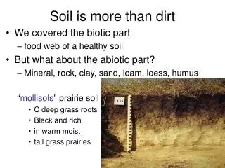 Soil is more than dirt