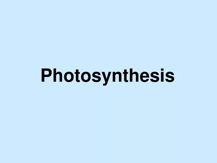 photosynthesis