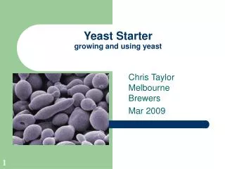 Yeast Starter growing and using yeast