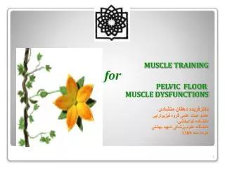 MUSCLE TRAINING for PELVIC FLOOR MUSCLE DYSFUNCTIONS ????????? ????? ?????? ? ??? ???? ???? ???? ?????????? ???????