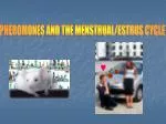 PHEROMONES AND THE MENSTRUAL/ESTRUS CYCLE - slide 1