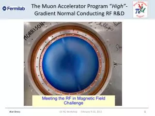 The Muon Accelerator Program “ High” -Gradient Normal Conducting RF R&amp;D