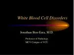 White Blood Cell Disorders - slide 1