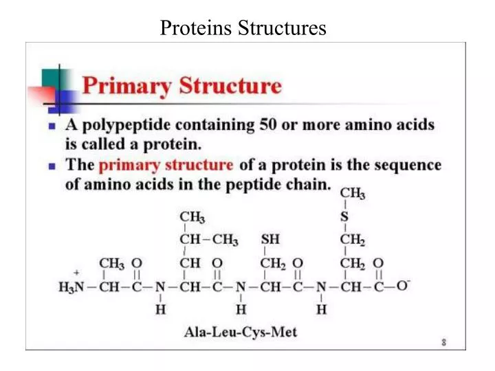 proteins structures