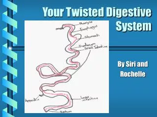 Your Twisted Digestive System