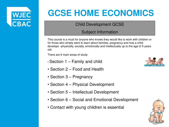 Ppt Gcse Home Economics Powerpoint Presentation Free Download Id