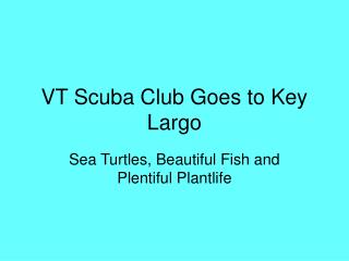 VT Scuba Club Goes to Key Largo