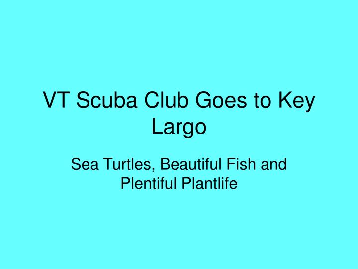 vt scuba club goes to key largo