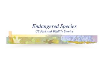 Endangered Species US Fish and Wildlife Service