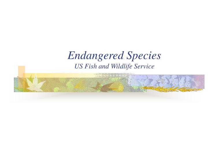 endangered species us fish and wildlife service