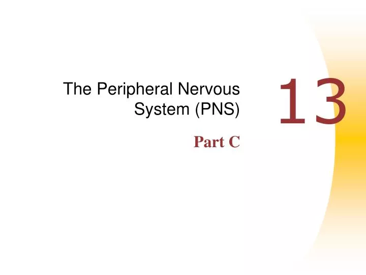 the peripheral nervous system pns part c