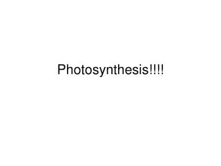 Photosynthesis!!!!