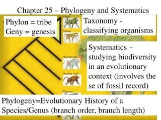 Chapter 25 – Phylogeny and Systematics