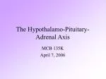 The Hypothalamo-Pituitary-Adrenal Axis