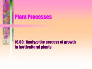 Plant Processes