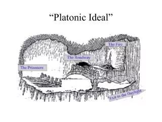 “Platonic Ideal”