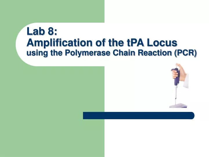 lab 8 amplification of the tpa locus using the polymerase chain reaction pcr