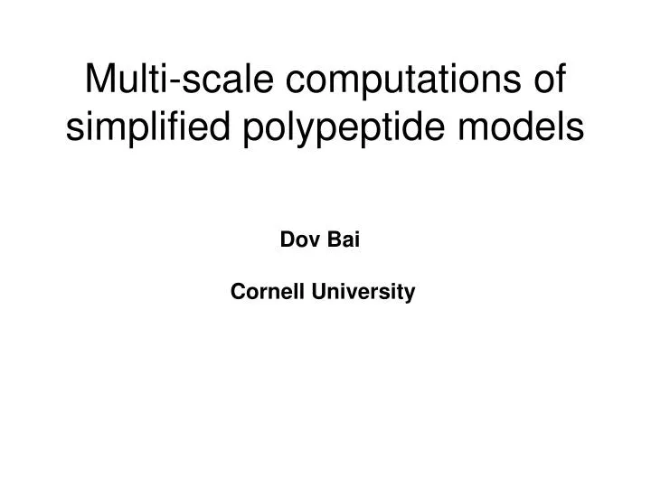 multi scale computations of simplified polypeptide models