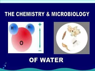 THE CHEMISTRY &amp; MICROBIOLOGY