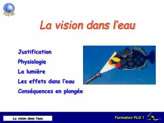 la vision dans l eau