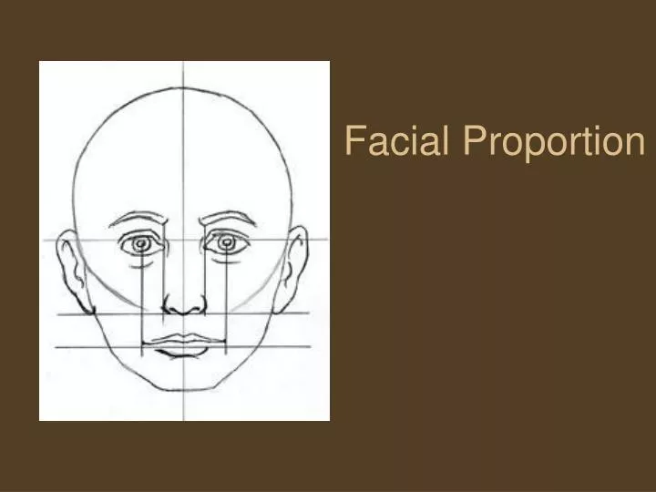 facial proportion