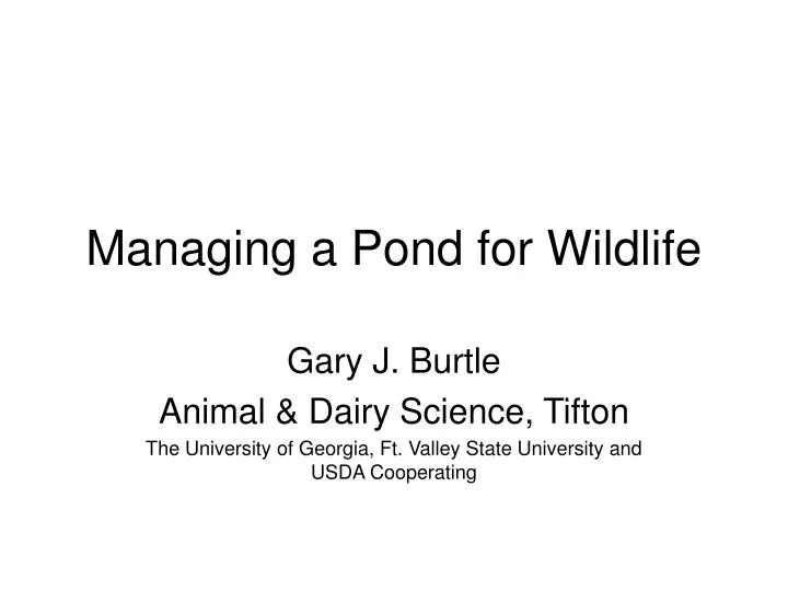 managing a pond for wildlife