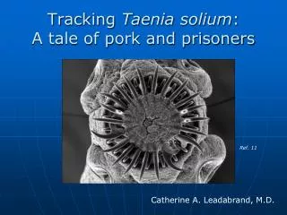 Tracking Taenia solium : A tale of pork and prisoners