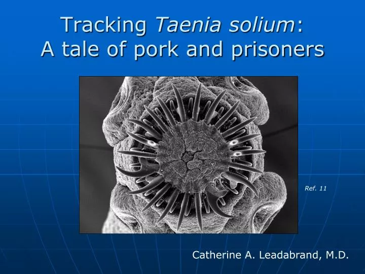tracking taenia solium a tale of pork and prisoners