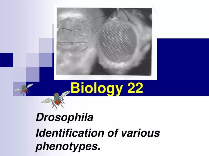 biology 22