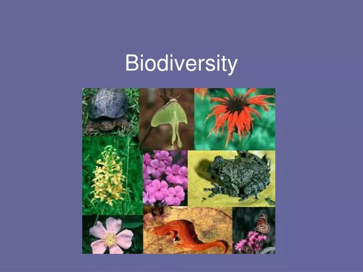 biodiversity