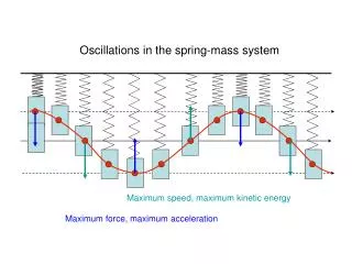 Oscillations in the spring-mass system