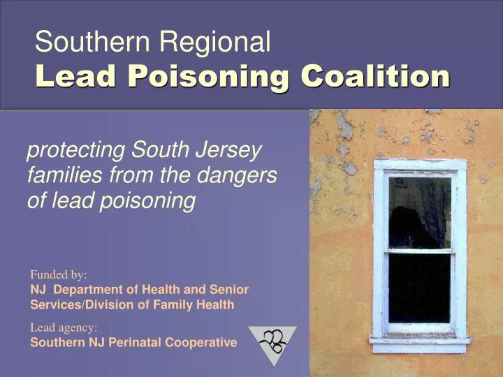 southern regional lead poisoning coalition