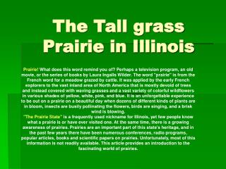 The Tall grass Prairie in Illinois