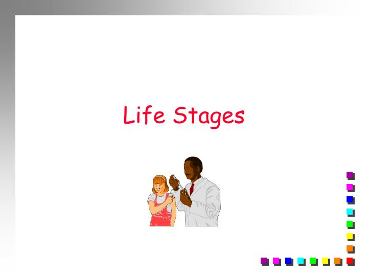 life stages