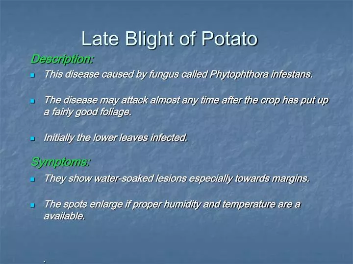 late blight of potato