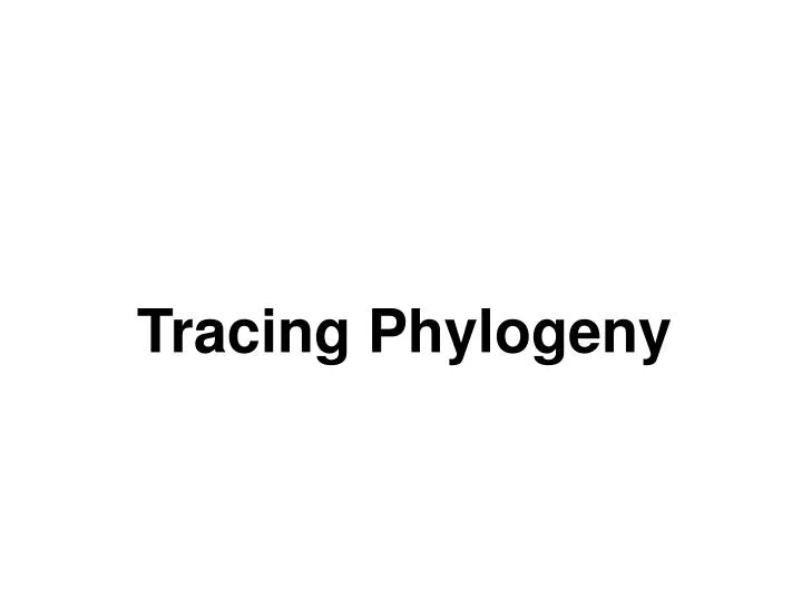 tracing phylogeny